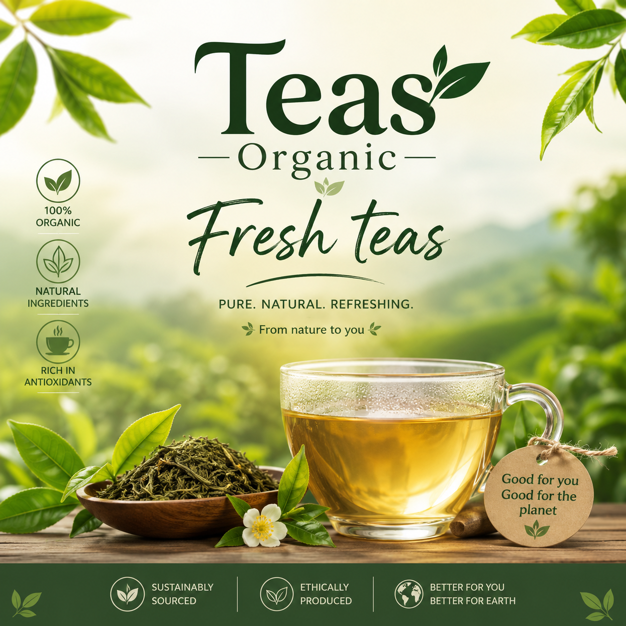 Herbal Tea Collection