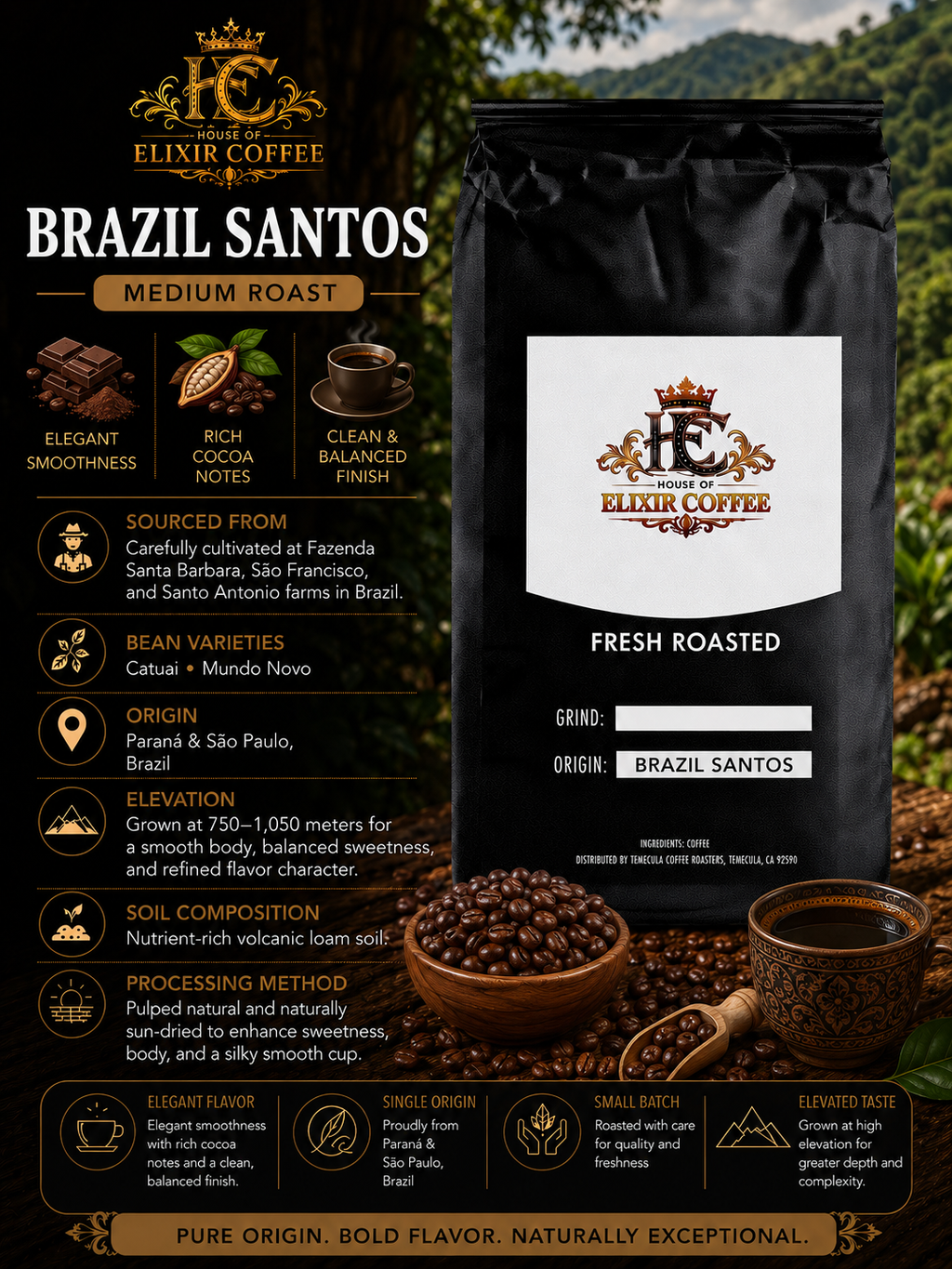 Brazil Santos 🇧🇷 Single Origin Coffee