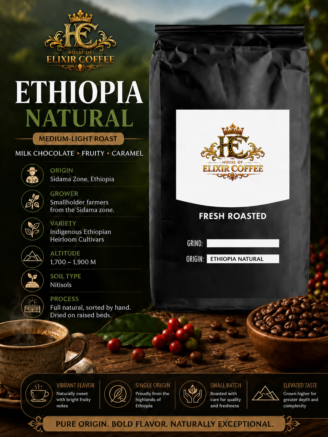Ethiopia Natural | Single Origin Coffee 🇪🇹